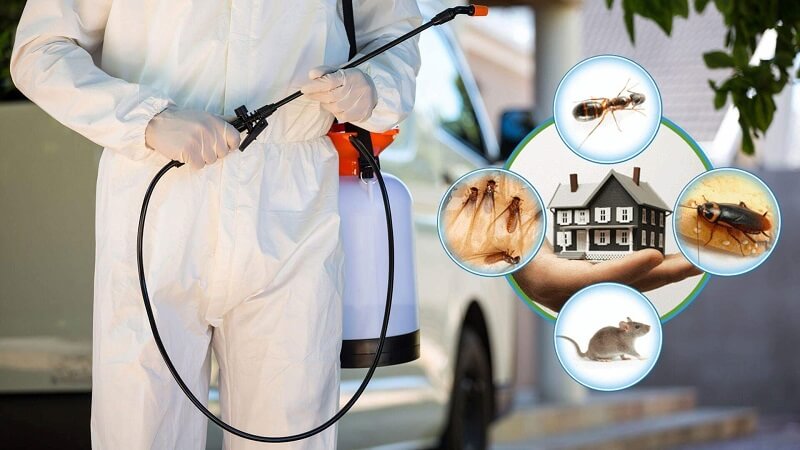 Diệt mối Bắc Từ Liêm