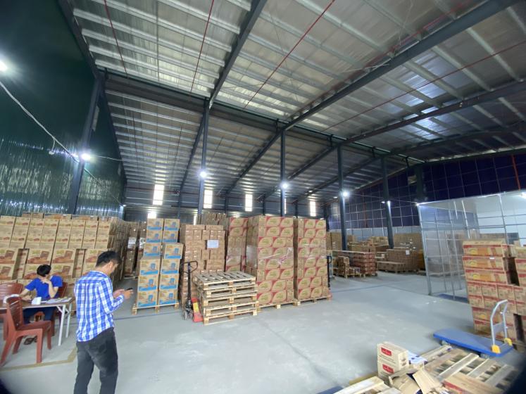 Diệt mối tận gốc tại kho xưởng