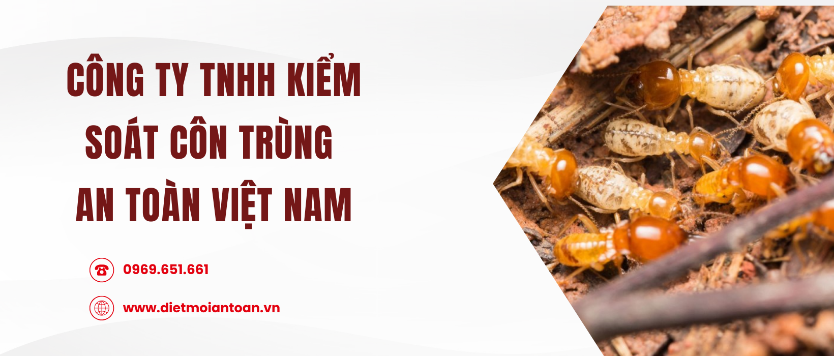 Banner trang chủ